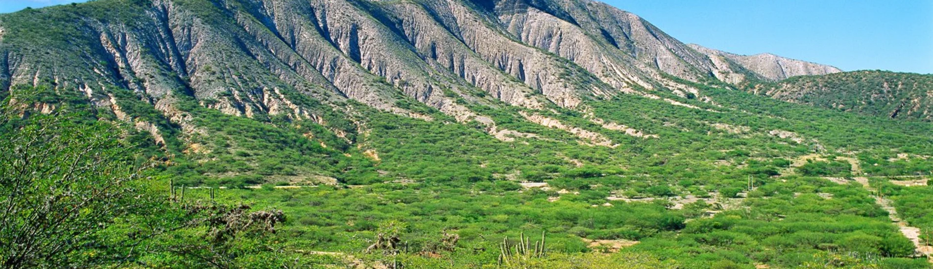 Maturin uçak bileti