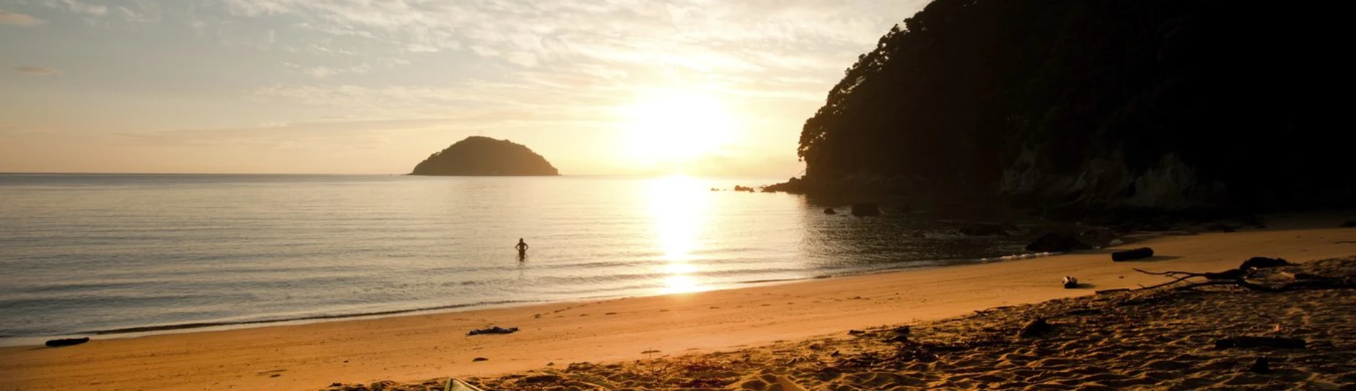 Wellington - Nelson uçak bileti