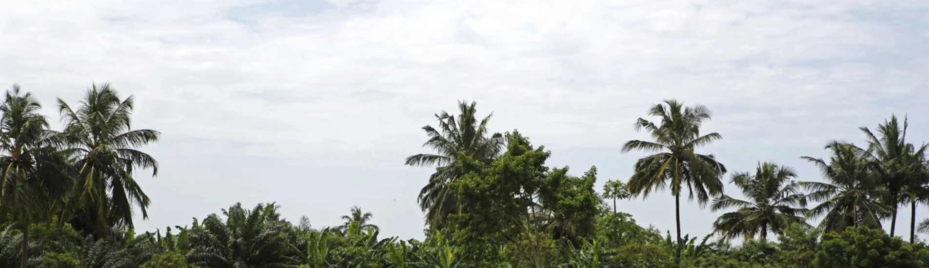 Libreville - Port-Gentil uçak bileti