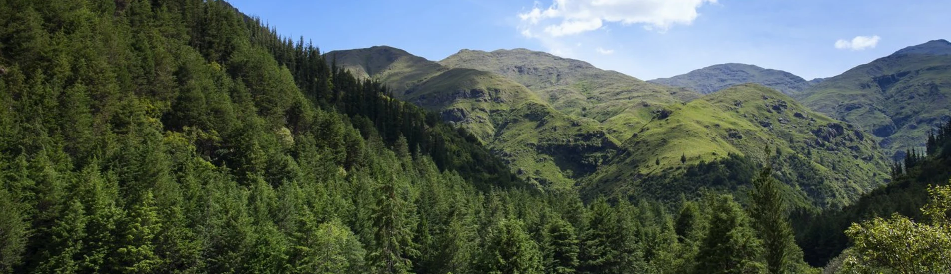 Santa Cruz de la Sierra - Tarija uçak bileti