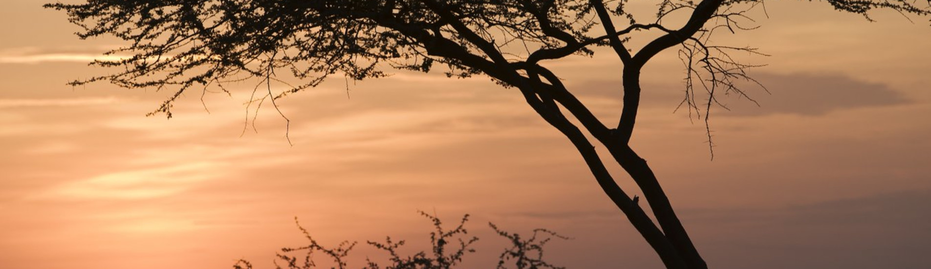 Kebri Dehar uçak bileti