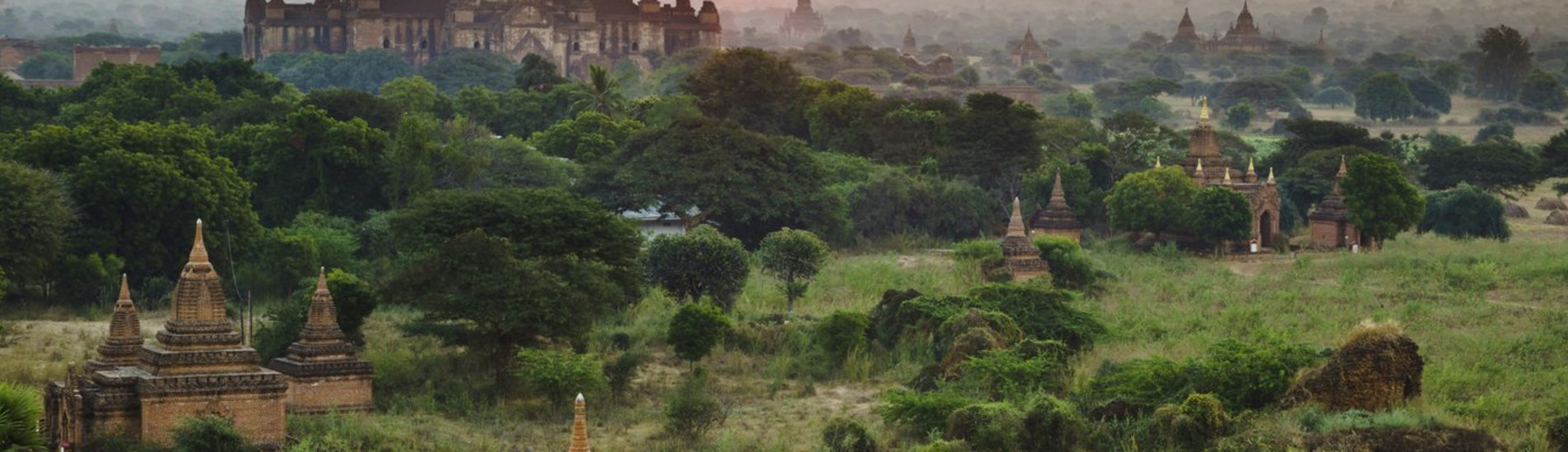 سيتوي تذاكر طيران