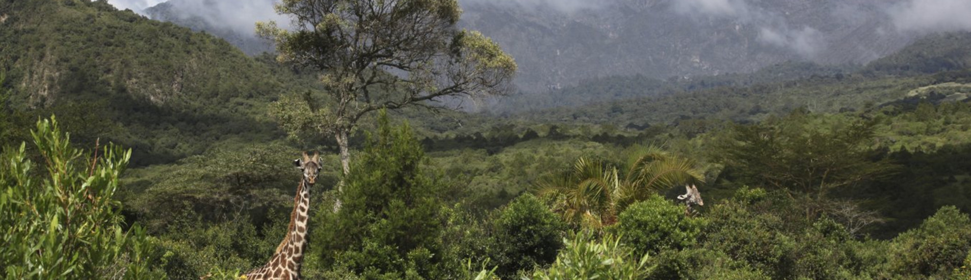 Arusha flight tickets