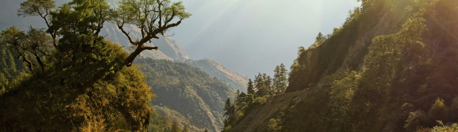 Bharatpur flight tickets