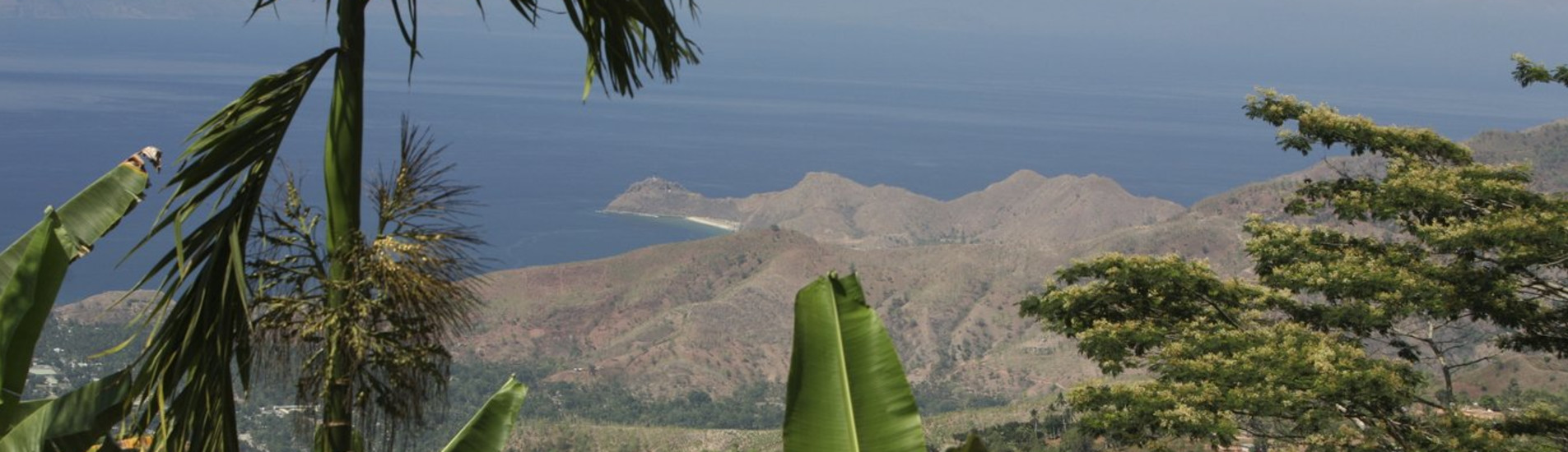 ديلي تذاكر طيران