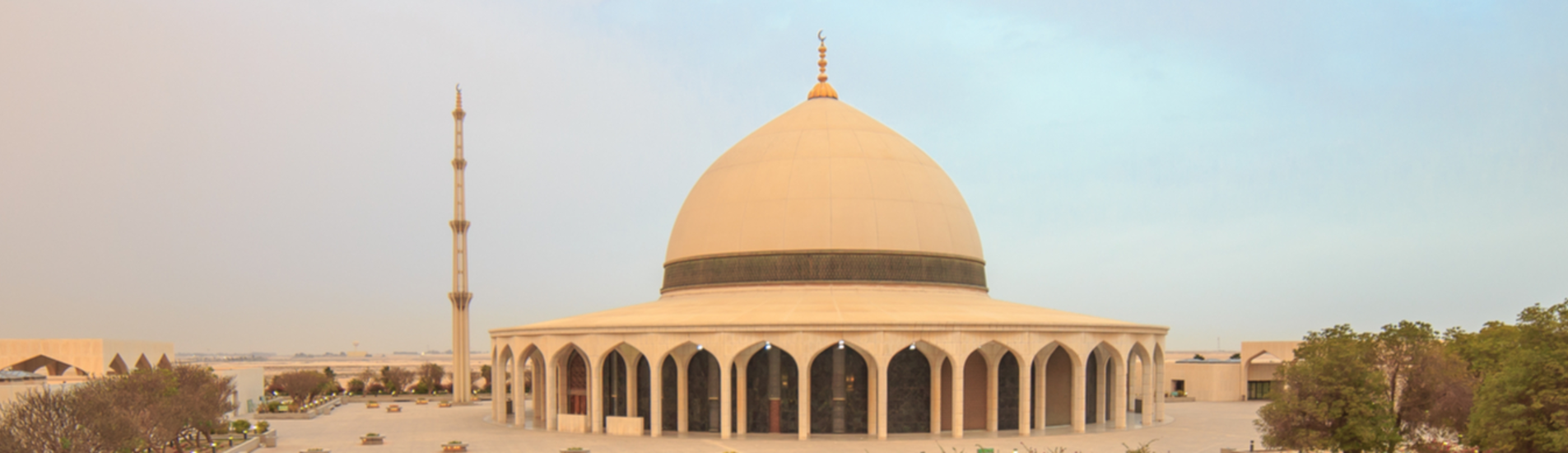 Ed Dammam uçak bileti