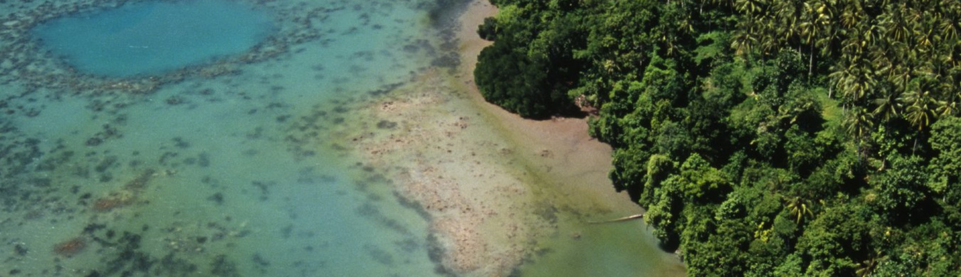 مونت هاجن تذاكر طيران