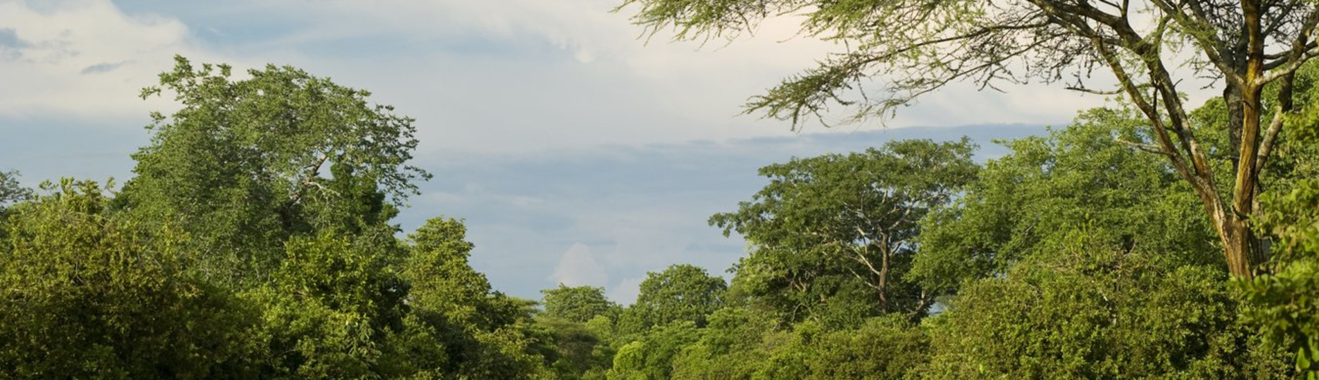 Kananga flight tickets