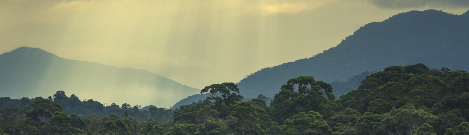 La Ceiba uçak bileti