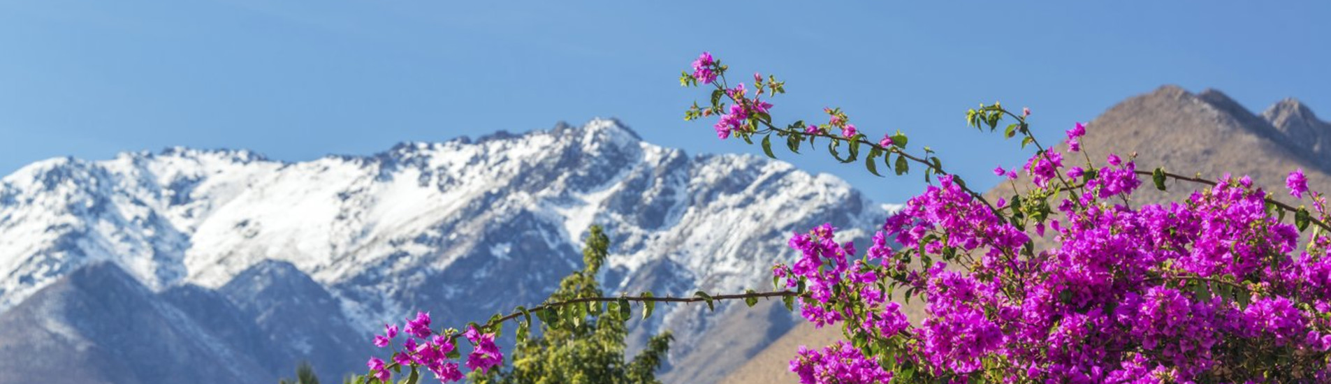 La Serena flight tickets