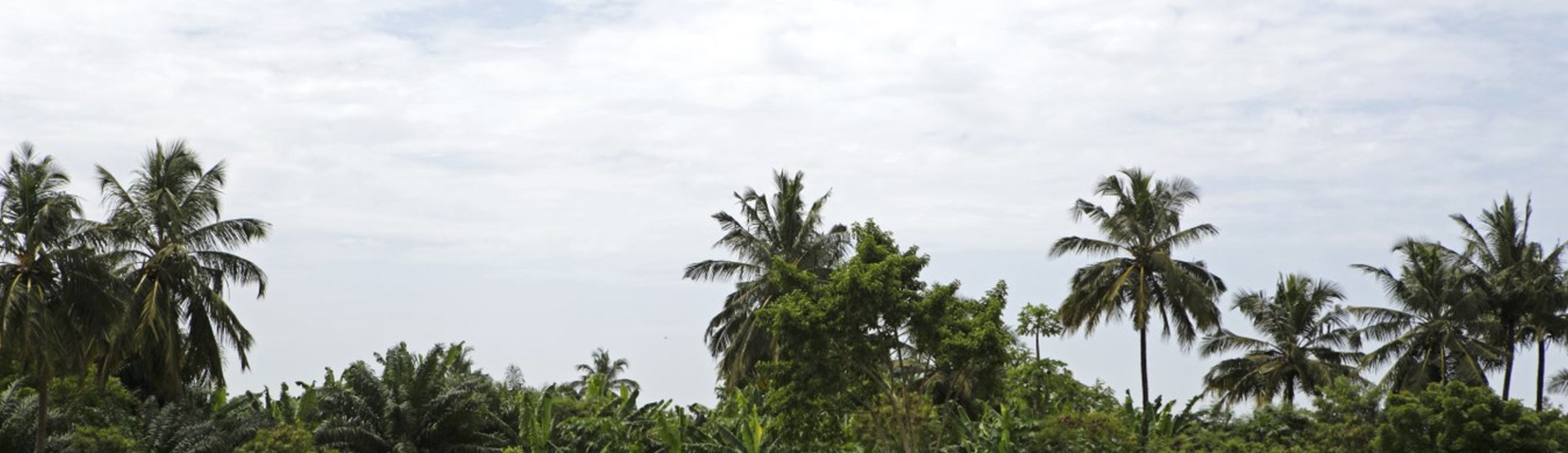 Makokou uçak bileti