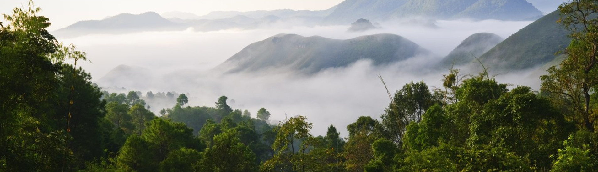 Myitkyina uçak bileti