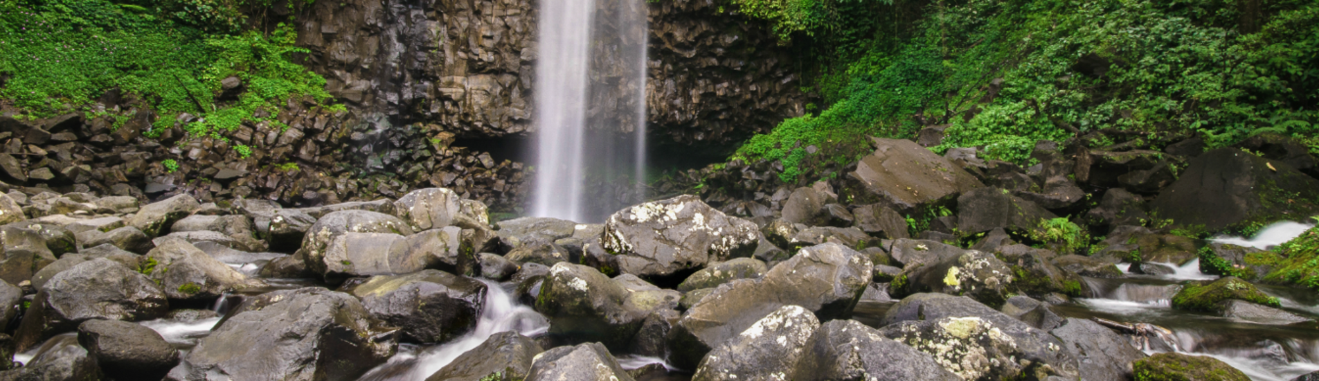 بادانج تذاكر طيران