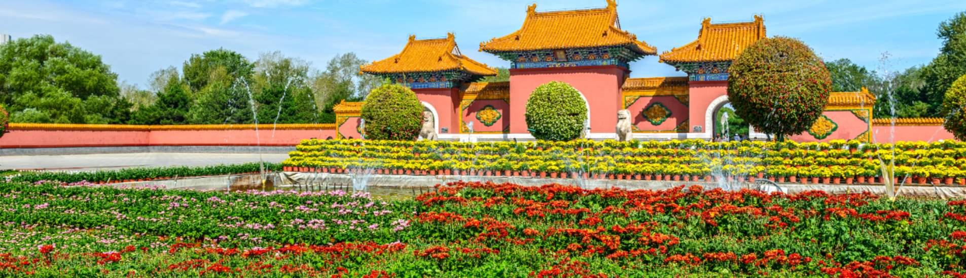 شينيانغ تذاكر طيران