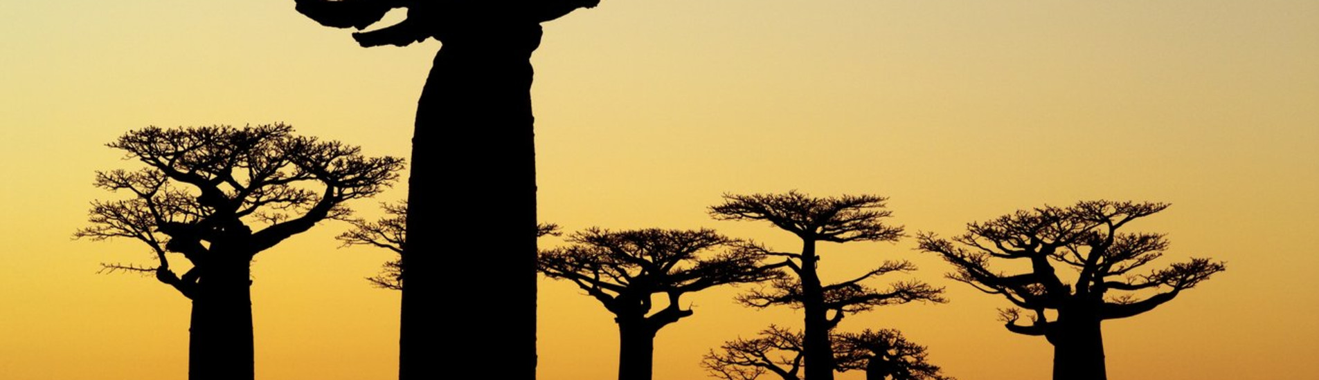 Sainte Marie flight tickets