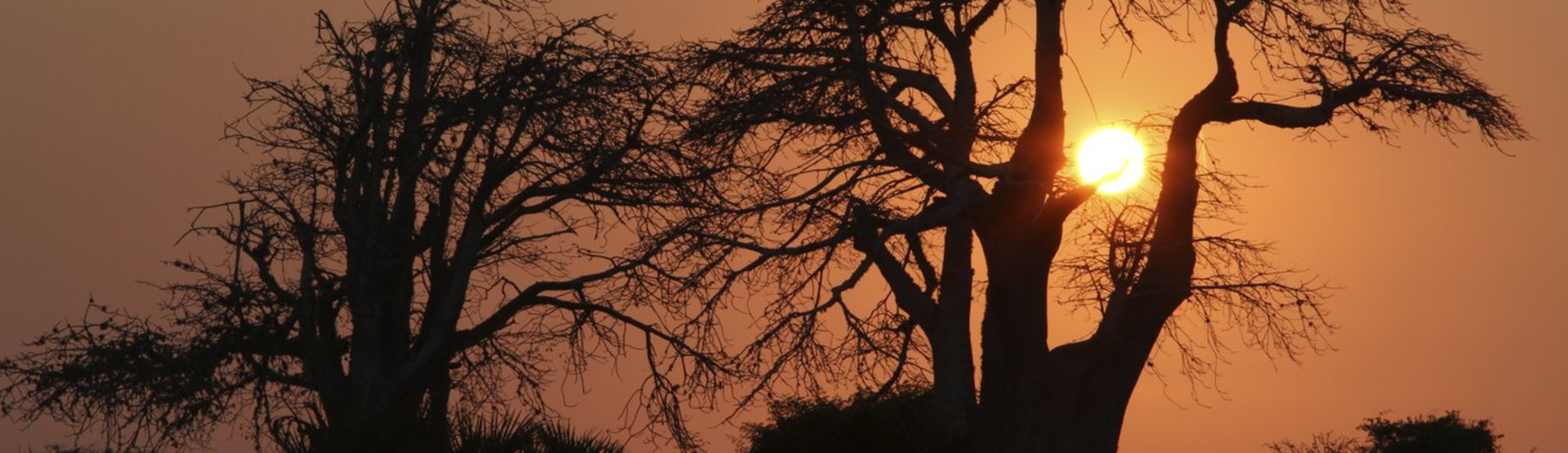 Menongue uçak bileti