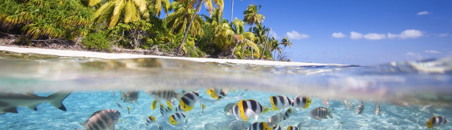 Tikehau uçak bileti