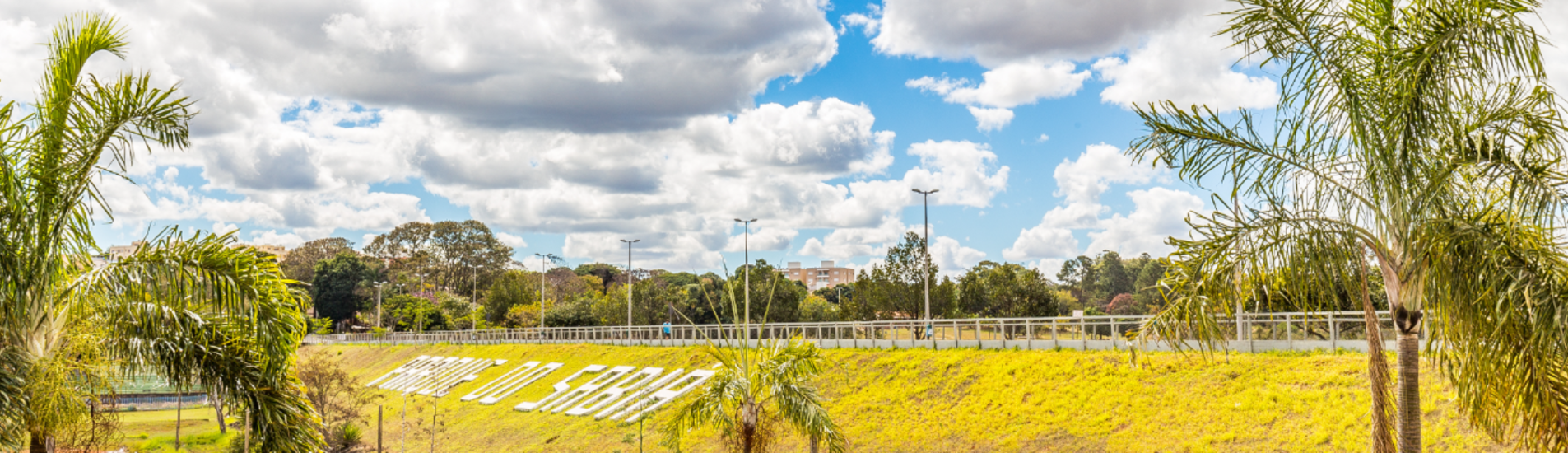 Uberlandia flight tickets