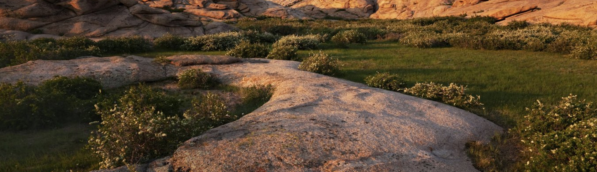 Öskemen uçak bileti