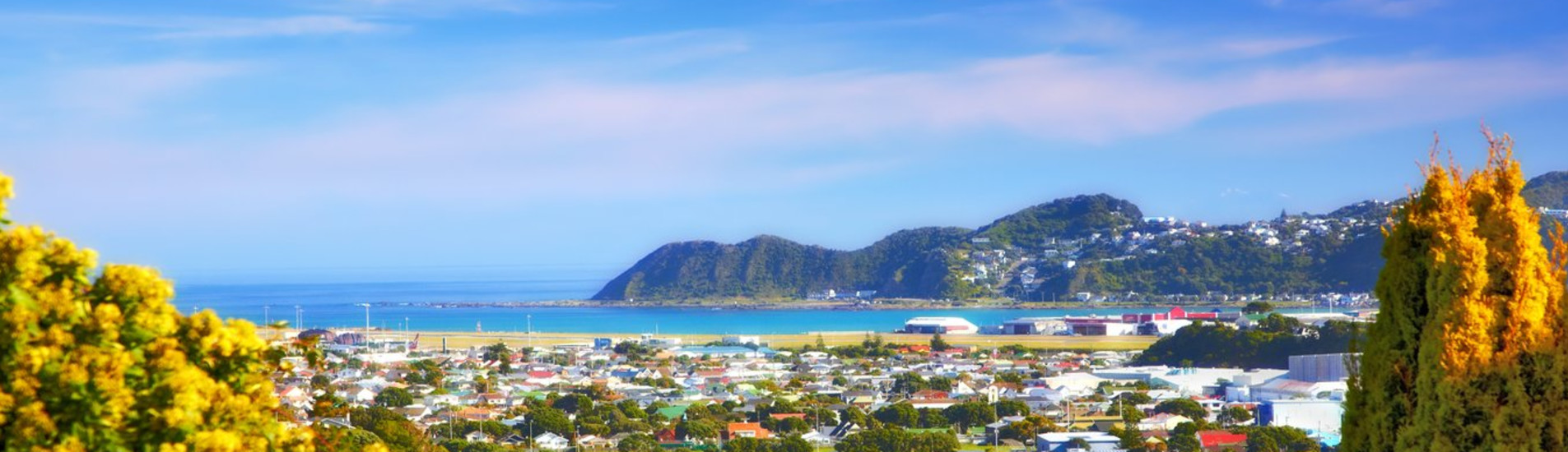 Wellington uçak bileti