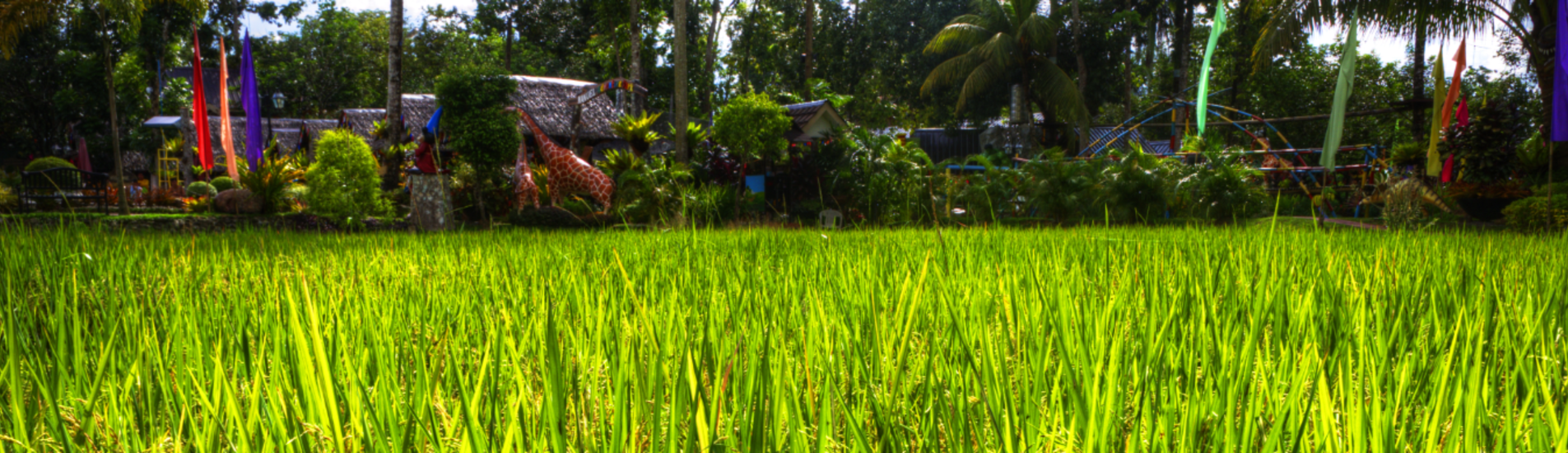 Zamboanga uçak bileti