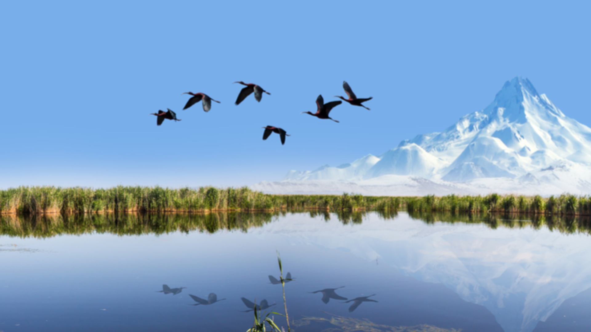 Kayseri uçak bileti