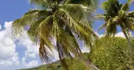 Huahine