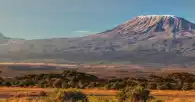 Kilimanjaro