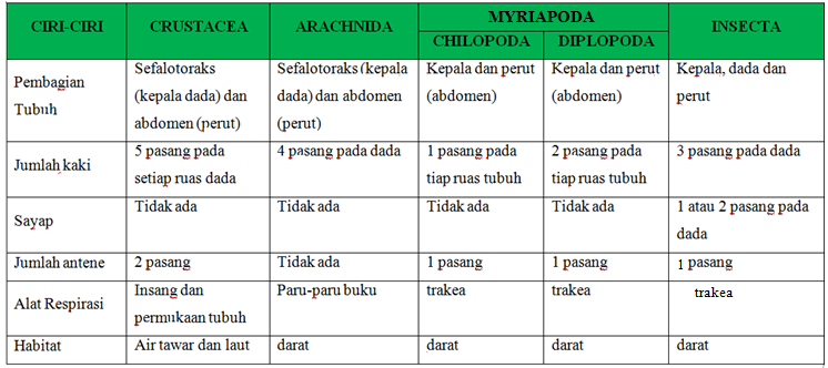 Arthropoda Biologi Dan Kehidupan