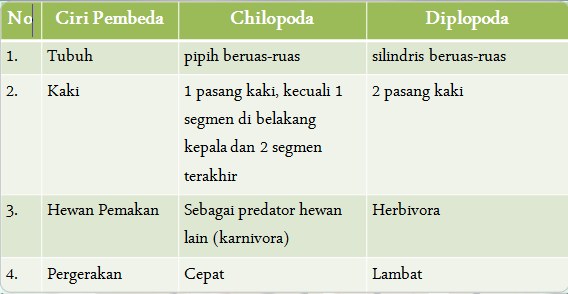 Arthropoda Biologi Dan Kehidupan