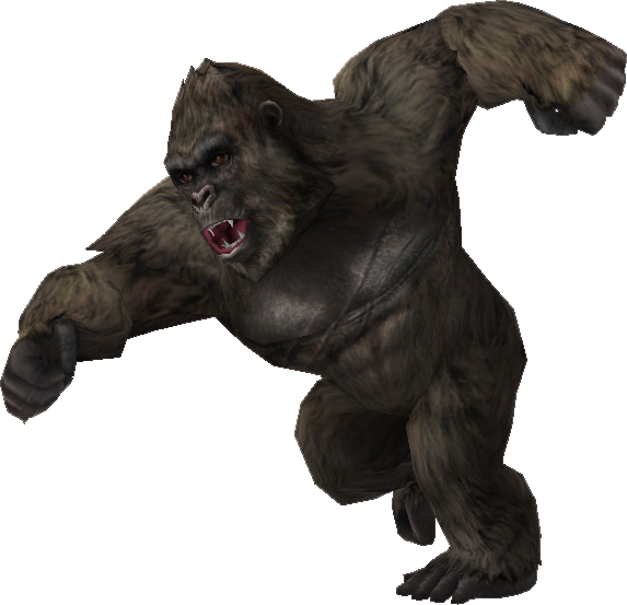 Kong 2021