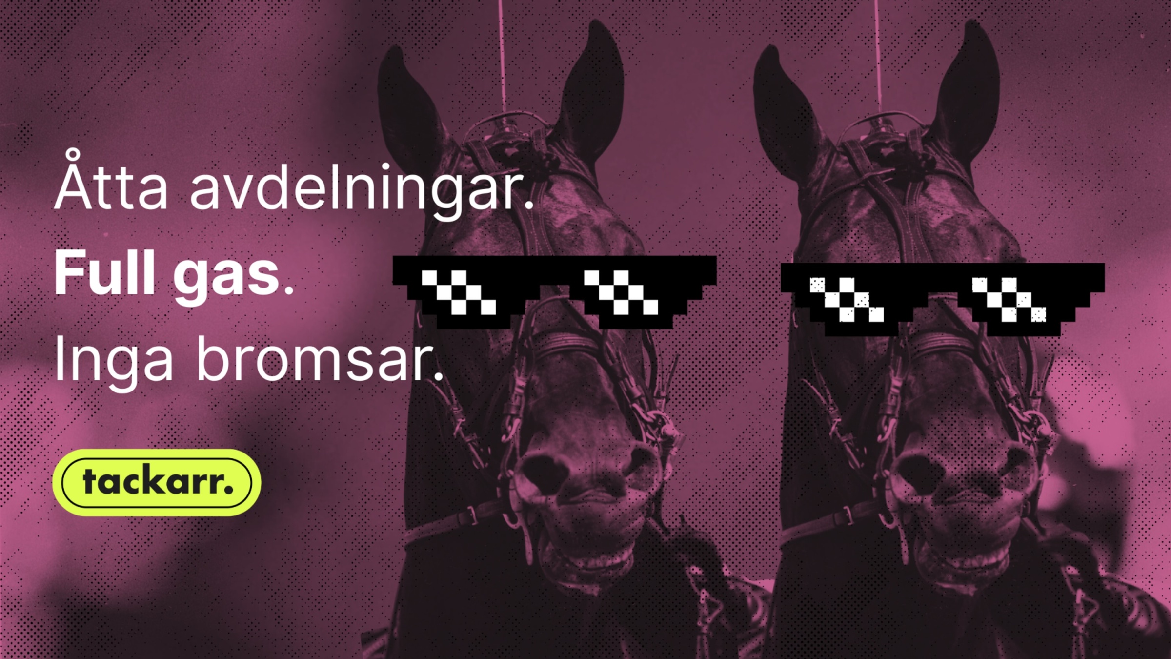 Vad kan du förvänta dig?