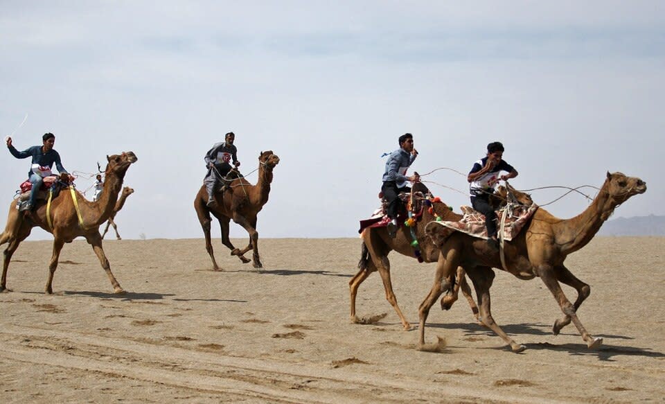 Camel Ride Varzaneh Desert