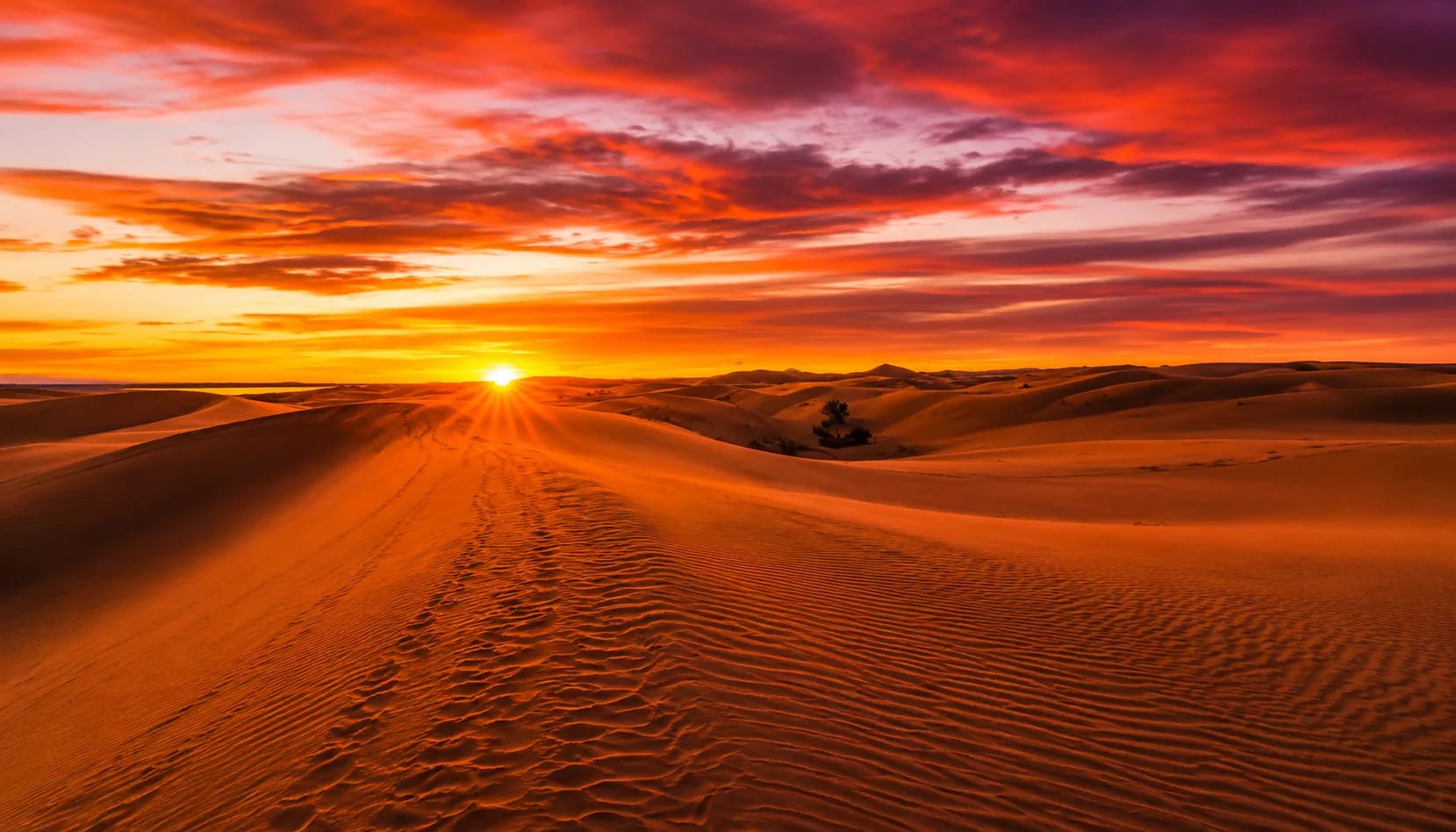 Desert Dune Sunrise