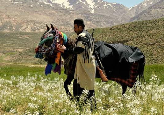 Bakhtiari Nomad Support Trek