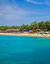 Activities in Goa