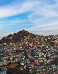 Activities in Shimla