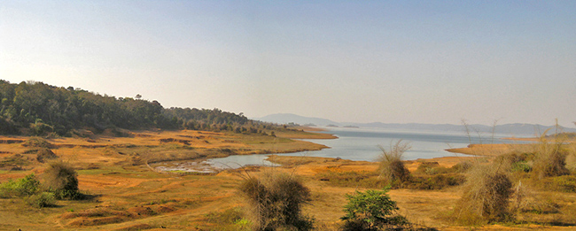 Dandeli National Park - Top National Park in India