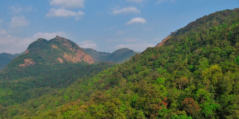 Silent Valley National Park - National Parks in India