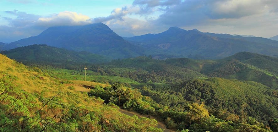 Eravikulam National Park - Top National Parks in india