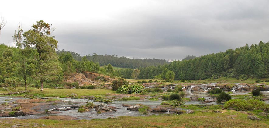 Mudumalai national park - wildlife sanctuaries of India