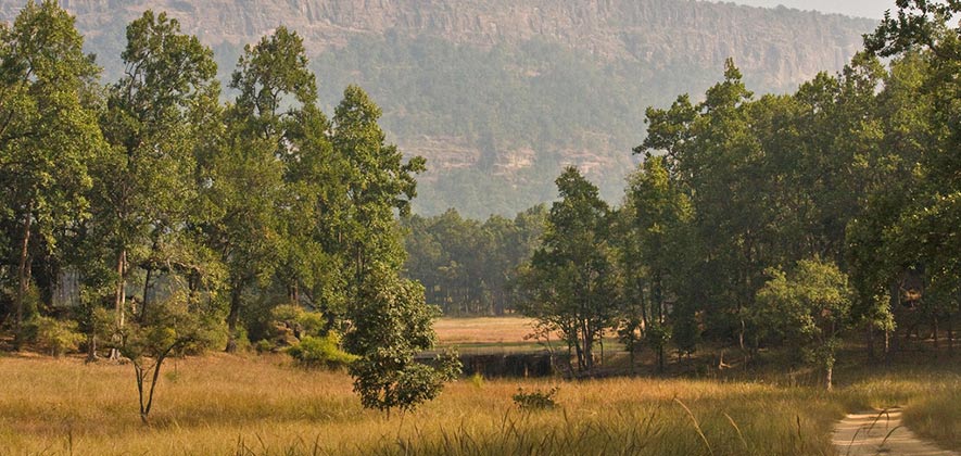 Bandhavgarh national park - National Parks in India