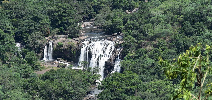 Chinnar Wildlife Sanctuary - National Parks in India