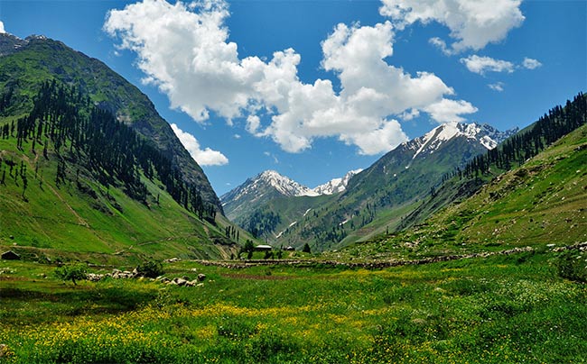 Valley of Flowers - National Parks in India