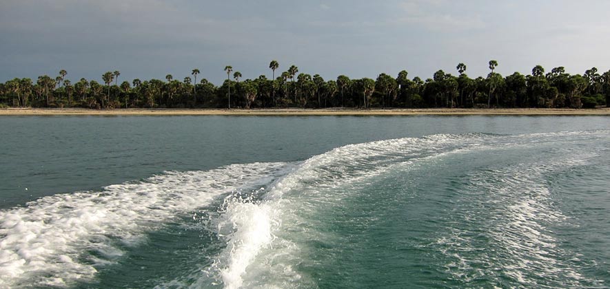 Mannar marine national park - Indian wildlife sanctuaries