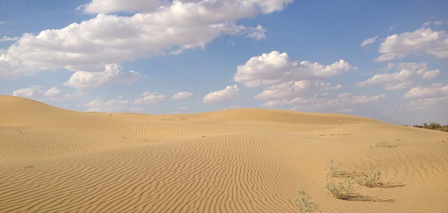 Desert national park Jaisalmer - National Parks in India