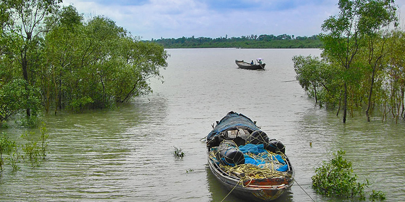 sundarbans national park - Best Wildlife Sanctuaries in India