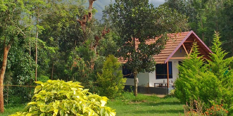 Cloverleaf - Homestay in Chikmagalur