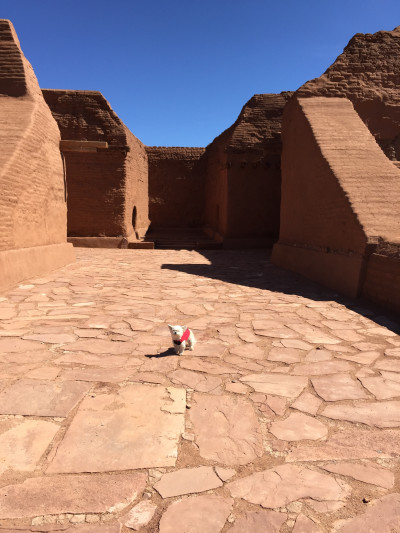 Travel blog image for March 15, 2016 in Pecos National Historical Park, NM