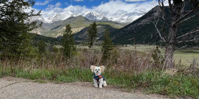 Travel blog image for May 31, 2022 in Rocky Mountain National Park, CO